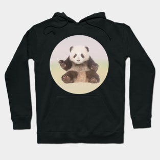 Save Giant Panda Hoodie